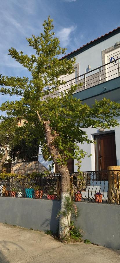 Apartament Ilio Socrates Skála Marión Zewnętrze zdjęcie