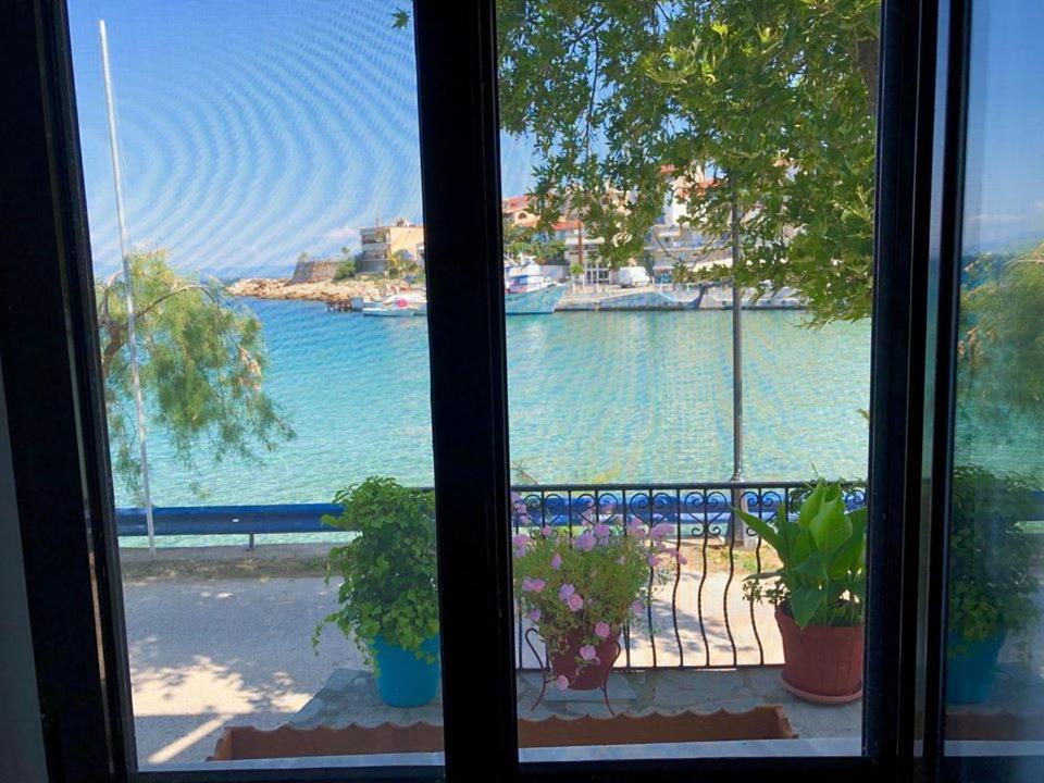 Apartament Ilio Socrates Skála Marión Zewnętrze zdjęcie